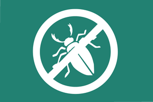 Quelle: Web Commerce GmbH durchgestrichener Käfer - keine Bugs